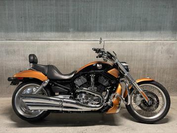 Harley-Davidson V-rod 105th Anniversary VRSCAW (bj 2008)