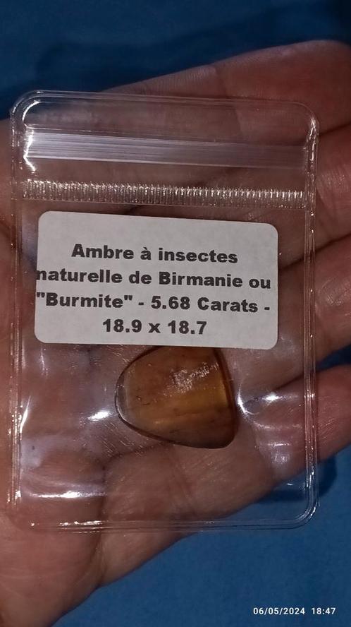 Morceau d'ambre à insectes provenance Birmanie, Bijoux, Sacs & Beauté, Pierres précieuses, Neuf, Enlèvement ou Envoi