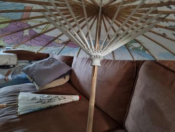 Aziatische parasol 