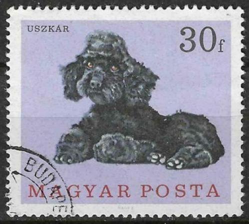 Hongarije 1966 - Yvert 1903 - Verschillende Honden (ST), Timbres & Monnaies, Timbres | Europe | Hongrie, Affranchi, Envoi