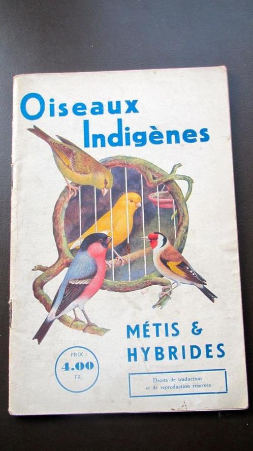 Livre les oiseaux indigènes, Livres, Nature, Neuf, Oiseaux, Enlèvement