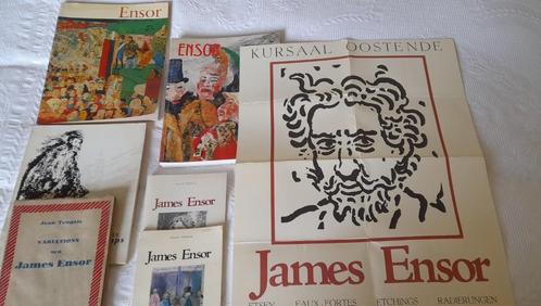 6 boeken van James Ensor + affiche, Livres, Art & Culture | Arts plastiques, Utilisé, Peinture et dessin, Enlèvement ou Envoi