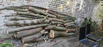 Hout om te geven