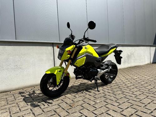 HONDA MSX - GROM, Motos, Motos | Honda, Entreprise, Naked bike, jusqu'à 11 kW, 1 cylindre, Enlèvement