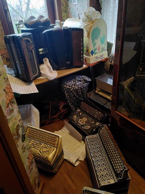oude accordeons verzameling, Musique & Instruments, Accordéons, Utilisé, Autres formats, Autres marques, Enlèvement