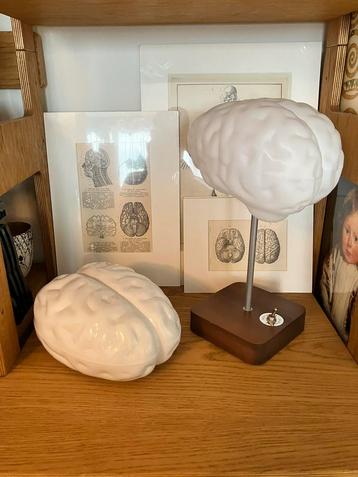 Brain storage box from Propaganda 