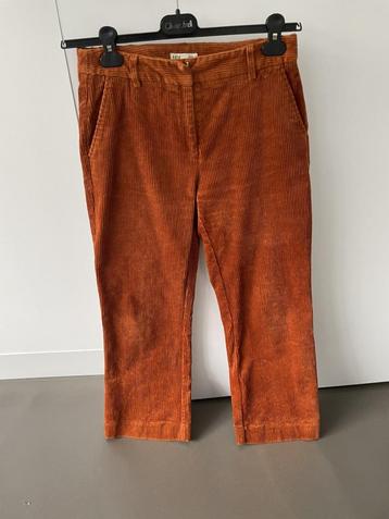 Pantalon marron en velours taille 36 de la marque JBC, en pa