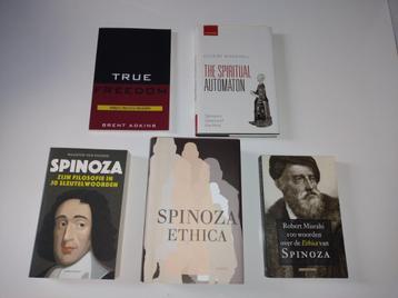 Deel 1, Filosofie, vnl. Spinoza
