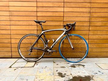 Orbea orca