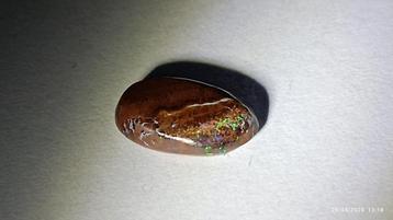 Opale boulder Matrix d'Australie 