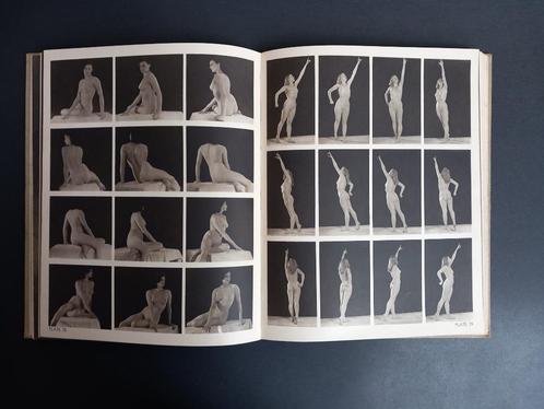 Modèle d'artiste du livre (John Everard), Livres, Art & Culture | Arts plastiques, Enlèvement