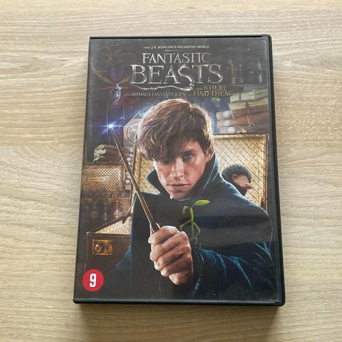 Fantastic Beasts and Where To Find Them, CD & DVD, DVD | Science-Fiction & Fantasy, Comme neuf, Fantasy, Enlèvement ou Envoi