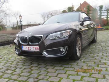 BMW 218i Cabrio luxury line NAV Leder Camera