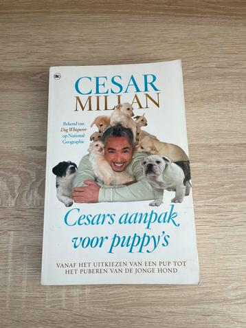 Cesar Millan boek 