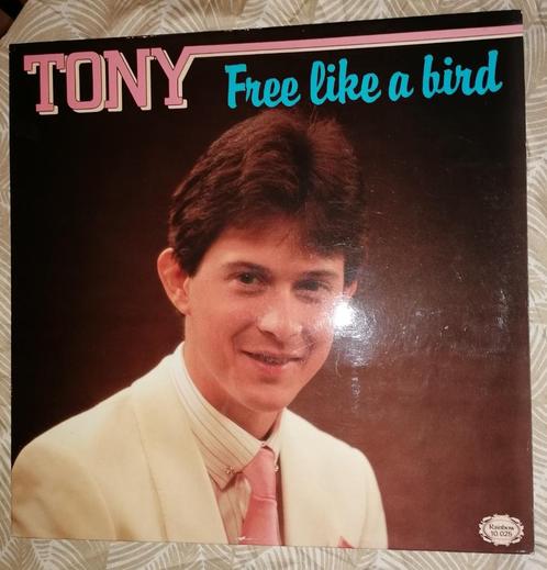 Tony - Free as a bird, CD & DVD, Vinyles | Néerlandophone, Utilisé, Autres genres, 12 pouces, Enlèvement ou Envoi