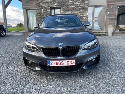 bmw 230 i cabriolet mars 2021, Autos, BMW, Particulier, Série 2, ABS, Caméra de recul, Airbags, Air conditionné, Alarme, Android Auto