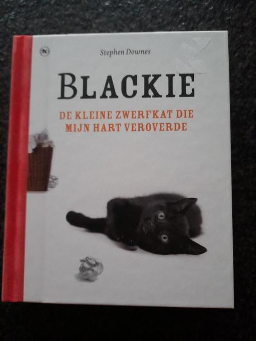 Stephen Downes - Blackie, Livres, Romans, Comme neuf, Enlèvement ou Envoi