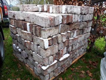 540 Vieilles briques nettoyées 22x10x6cm