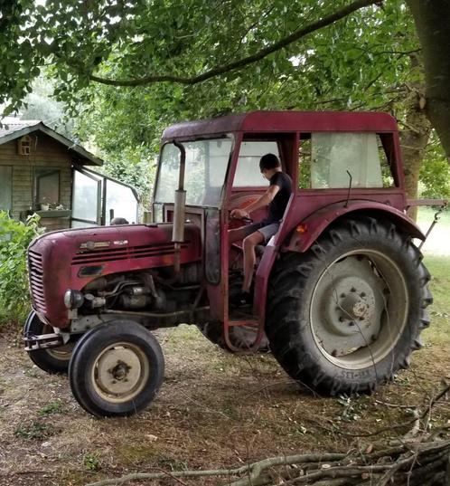 tracteur Steyr 290 de 1967, Articles professionnels, Agriculture | Tracteurs, Steyr, Oldtimer/Ancêtre, Enlèvement