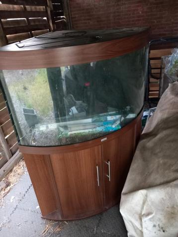 Juwel hoek aquarium met meubel. 240L