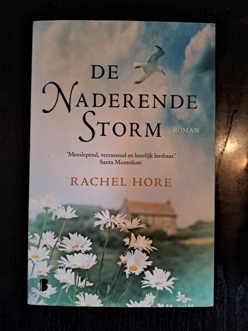 De naderende storm - Rachel Hore, Livres, Romans, Utilisé, Enlèvement ou Envoi