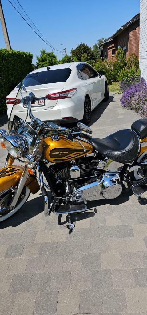 Moto Harley Davidson dore, Motos, Motos | Harley-Davidson, Particulier, Autre, plus de 35 kW, 2 cylindres, Enlèvement