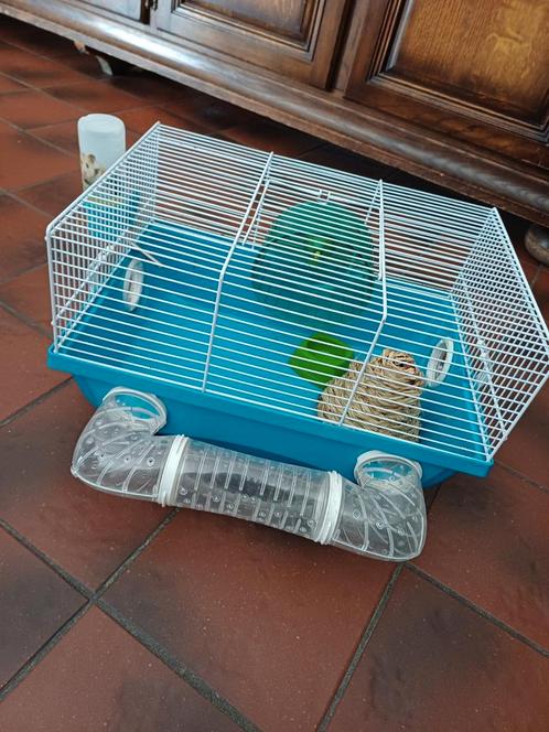 Hamsterkooi, Animaux & Accessoires, Rongeurs & Lapins | Cages & Clapiers, Comme neuf, Cage, Moins de 60 cm, Moins de 75 cm, Hamster