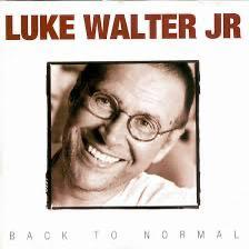 Luke Walter Jr - Back to Normal, CD & DVD, CD | Jazz & Blues, Comme neuf, Blues, Enlèvement ou Envoi