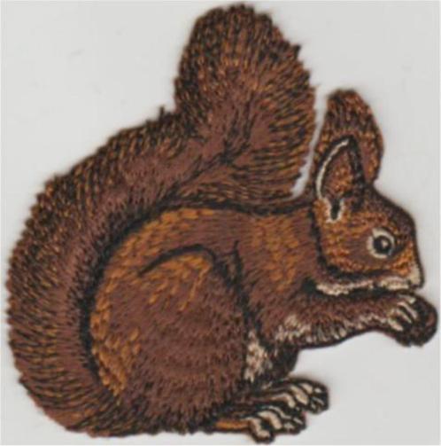 Eekhoorn stoffen opstrijk patch embleem, Collections, Collections Autre, Neuf, Envoi