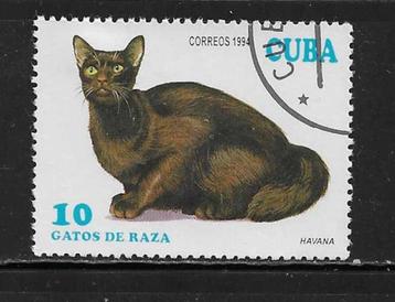 Poezen - Cuba 1994 - Afgestempeld - Lot Nr. 1173