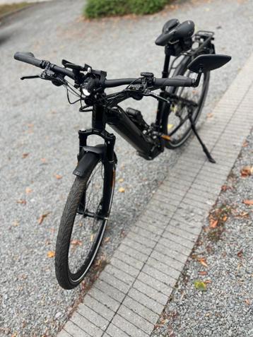 speed pedelec