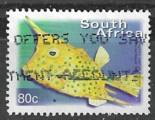 Zuid-Afrika 2000 - Yvert 1127L - De langhoornkoffervis (ST), Timbres & Monnaies, Timbres | Afrique, Affranchi, Afrique du Sud