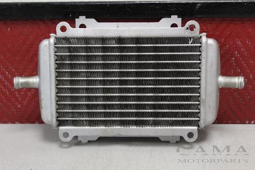 RADIATEUR EAU GTS 300 2009-2013 (GTS300 Super ZAPM45200), Motos, Pièces | Autre, Utilisé