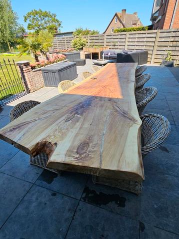 table tronc d'arbre, table à manger, table de cuisine, table