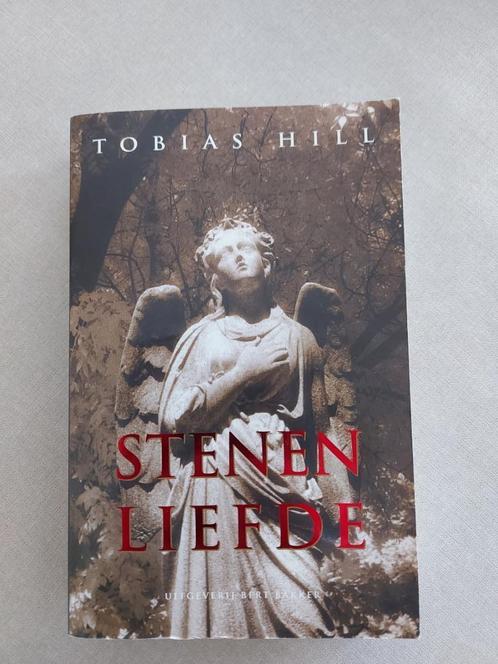 Tobias Hill: Stenen liefde, Livres, Romans, Comme neuf, Enlèvement ou Envoi