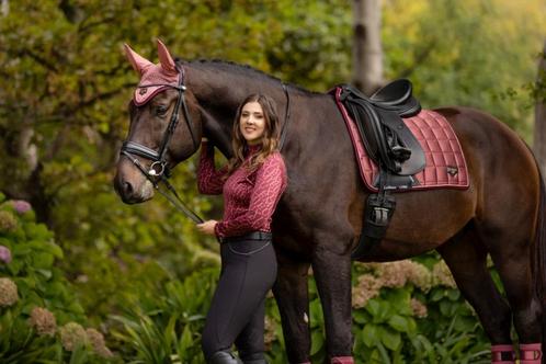 LeMieux Loire Orchid dressuur dekje GRATIS VERZENDING, Animaux & Accessoires, Chevaux & Poneys | Couvertures & Couvre-reins, Neuf