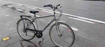 Herenfiets met weilslot