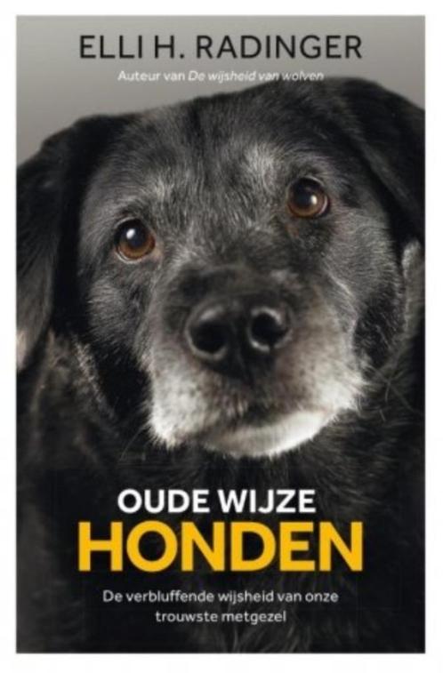 Oude wijze honden, Elli H. Radinger BK, Boeken, Dieren en Huisdieren, Zo goed als nieuw, Honden, Verzenden