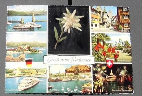 Postkaart met opgekleefde bloem, Verzamelen, Postkaarten | Themakaarten, Gelopen, Natuur, Ophalen of Verzenden