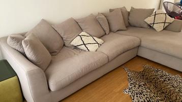 Zetel Primalux GRATIS