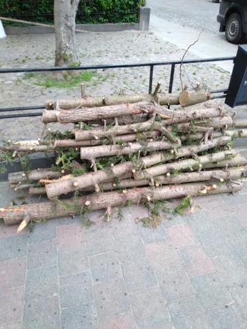 Gratis brandhout