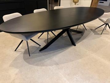Ovale XL tafel 300x120 cm mangohout Swiss edge in zwart