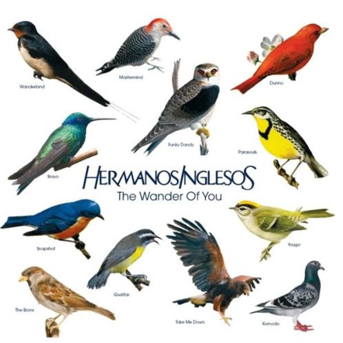 Hermanos Inglesos - The Wander of You (Belpop Electro )- cd, CD & DVD, CD | Pop, Enlèvement ou Envoi