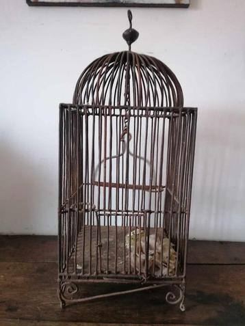 Magnifique très ancienne cage à oiseau en fer 