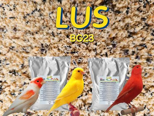 LUS Soft BG23 Bianco Eivoer 1kg Semi Morbido + Germix, Animaux & Accessoires, Oiseaux | Accessoires, Neuf, Enlèvement ou Envoi