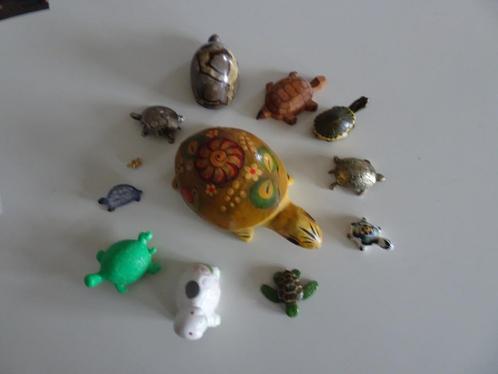 Collection 12 tortues, Collections, Collections Animaux, Utilisé, Reptile ou Amphibien, Enlèvement ou Envoi
