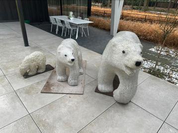 3 ijsberen volledig met led-light