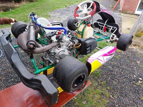 Tony kart rotax max dd2 evo, Sport en Fitness, Karting, Gebruikt, Kart, Ophalen