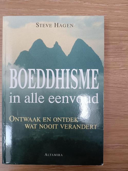 Steve Hagen - Boeddhisme in alle eenvoud, Livres, Religion & Théologie, Comme neuf, Bouddhisme, Enlèvement ou Envoi