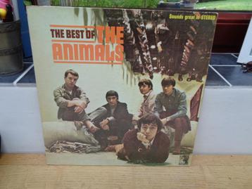 Animals LP "Best Of" [USA]